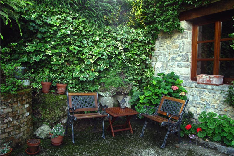 Trisqueles y Buganvillas Trisqueles y Buganvillas